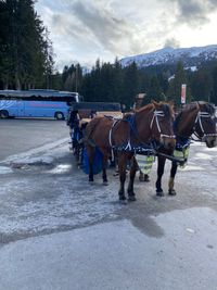 WhatsApp Image 2023-03-27 at 08.45.43 (1)